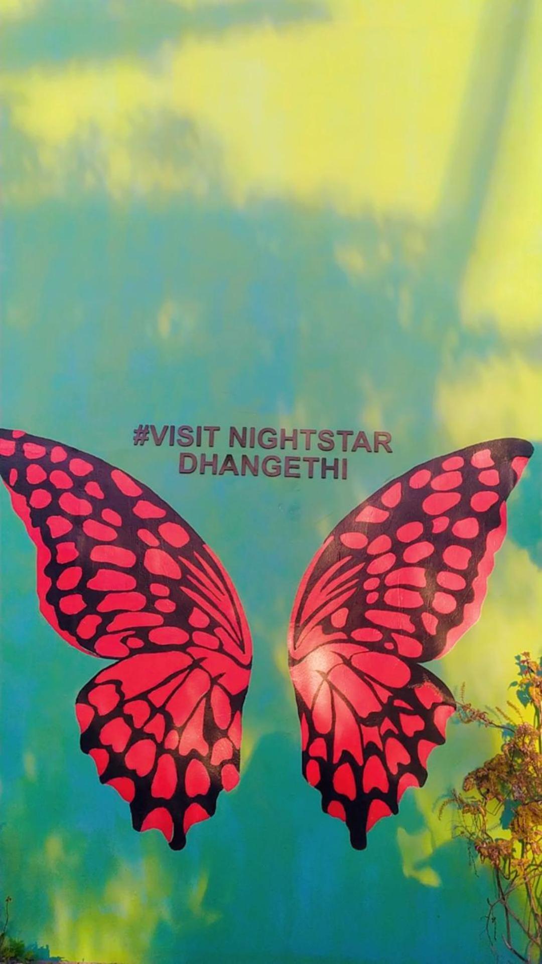 Night Star Dhangethi Bed & Breakfast Eksteriør bilde