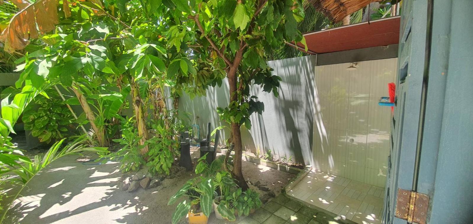Night Star Dhangethi Bed & Breakfast Eksteriør bilde