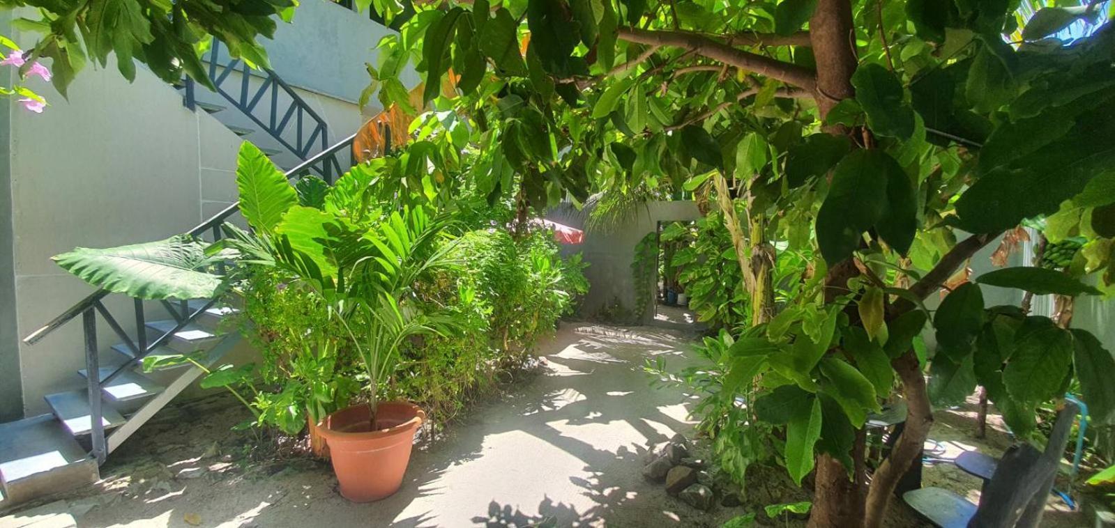Night Star Dhangethi Bed & Breakfast Eksteriør bilde